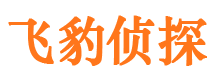 阳江外遇出轨调查取证